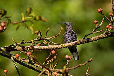 开发者称《浩劫前夕》发行前将举行Beta测试